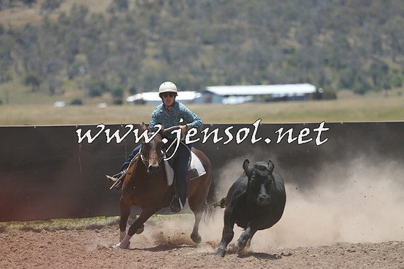 AdaminabyCampdraft2014_0208