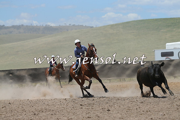 AdaminabyCampdraft2014_0184