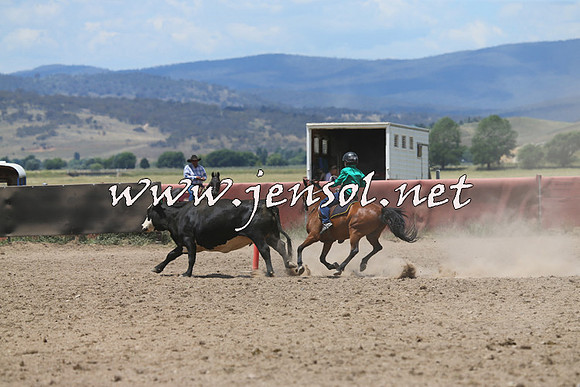AdaminabyCampdraft2014_0401