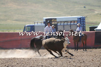 AdaminabyCampdraft2014_0853