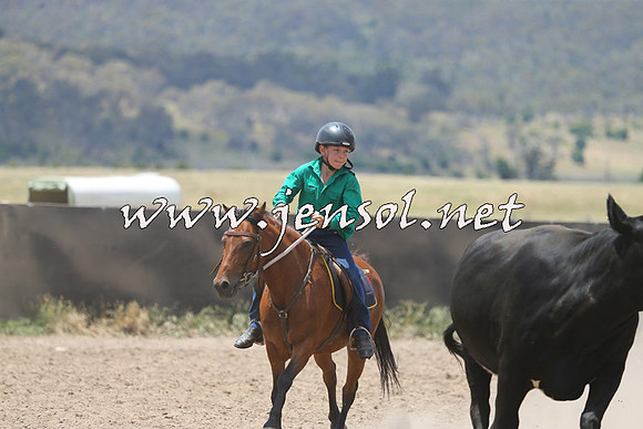 AdaminabyCampdraft2014_0389