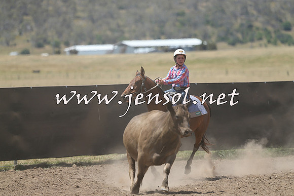 AdaminabyCampdraft2014_0498