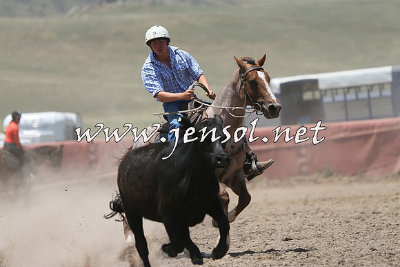 AdaminabyCampdraft2014_0234