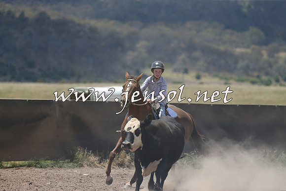 AdaminabyCampdraft2014_0419