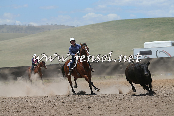 AdaminabyCampdraft2014_0183