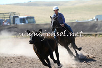 AdaminabyCampdraft2014_0832