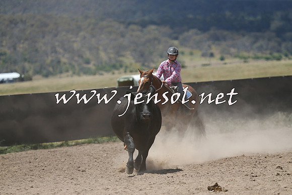 AdaminabyCampdraft2014_0429