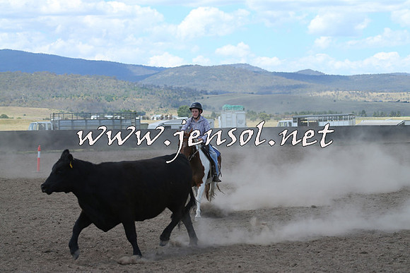 AdaminabyCampdraft2014_0503