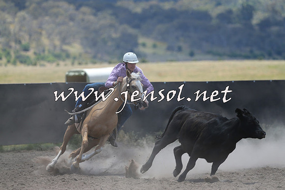 AdaminabyCampdraft2014_0188
