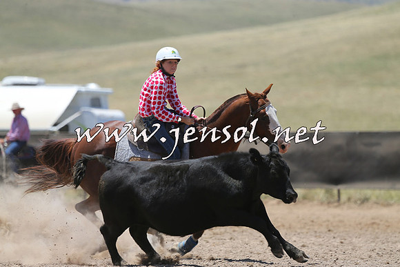 AdaminabyCampdraft2014_0160