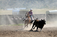 AdaminabyCampdraft2014_0822