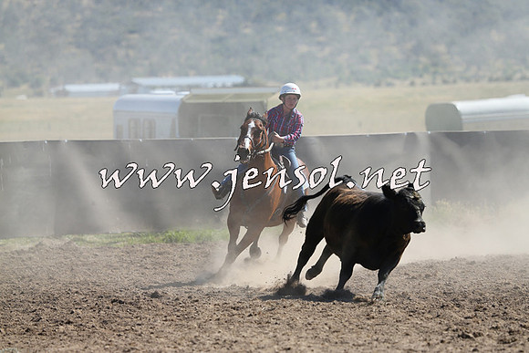 AdaminabyCampdraft2014_0822