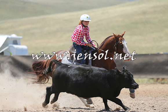 AdaminabyCampdraft2014_0162