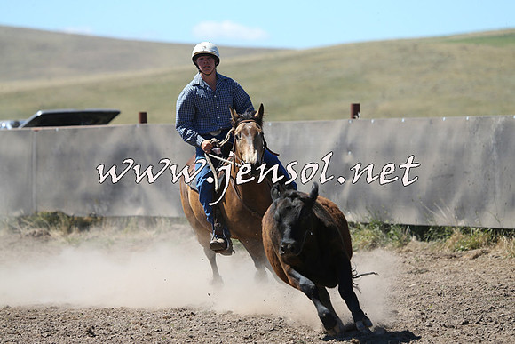 AdaminabyCampdraft2014_0901
