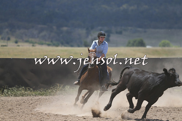 AdaminabyCampdraft2014_0200