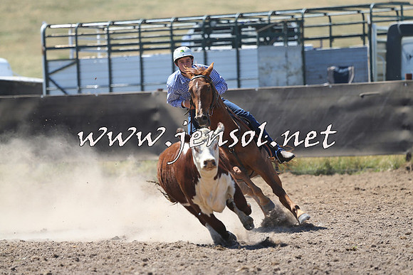 AdaminabyCampdraft2014_0866
