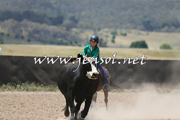 AdaminabyCampdraft2014_0392