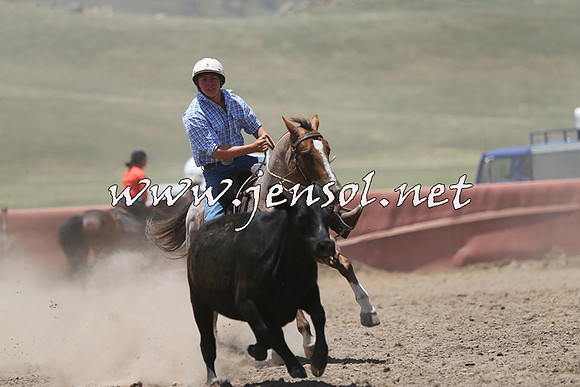 AdaminabyCampdraft2014_0231