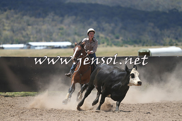 AdaminabyCampdraft2014_0427