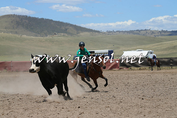 AdaminabyCampdraft2014_0394