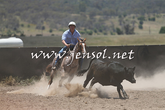AdaminabyCampdraft2014_0226
