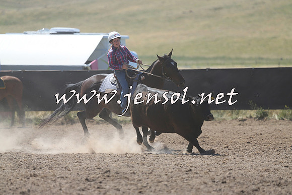 AdaminabyCampdraft2014_0885