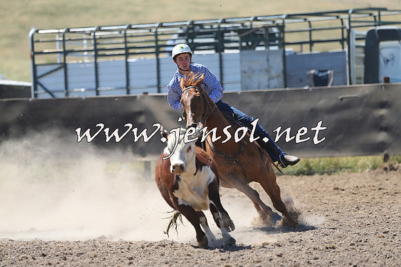 AdaminabyCampdraft2014_0863
