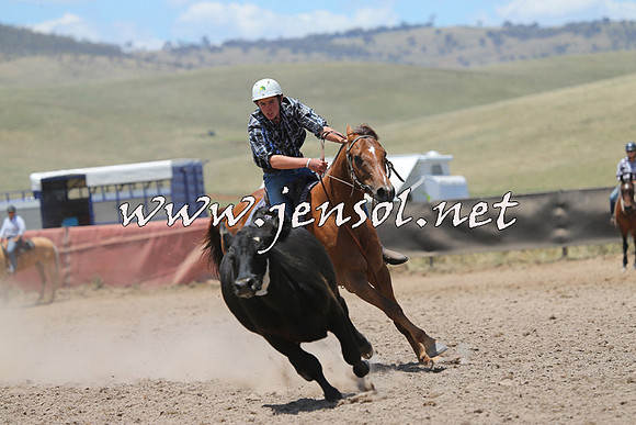 AdaminabyCampdraft2014_0199