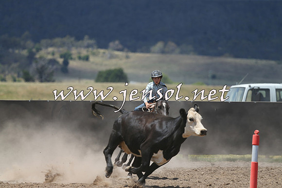 AdaminabyCampdraft2014_0463