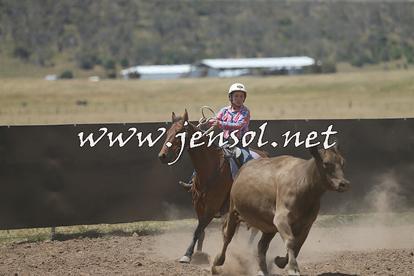 AdaminabyCampdraft2014_0500