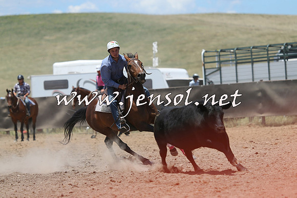 AdaminabyCampdraft2014_0215