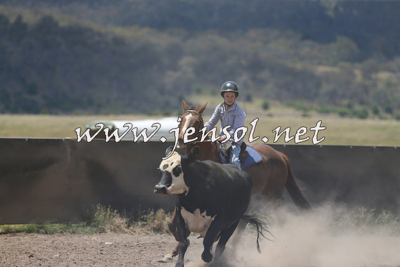 AdaminabyCampdraft2014_0420
