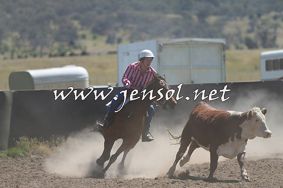 AdaminabyCampdraft2014_0911