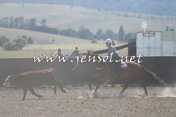 AdaminabyCampdraft2014_0891