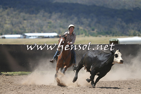 AdaminabyCampdraft2014_0428