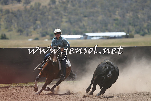 AdaminabyCampdraft2014_0207