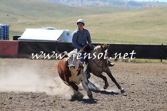 AdaminabyCampdraft2014_0840