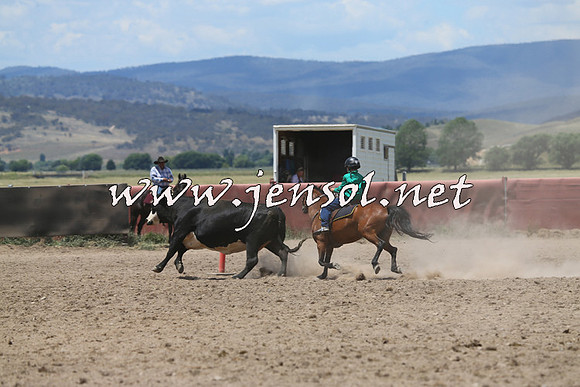 AdaminabyCampdraft2014_0400