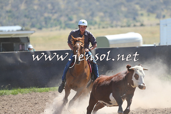 AdaminabyCampdraft2014_0904
