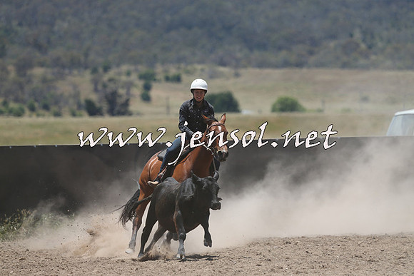 AdaminabyCampdraft2014_0249