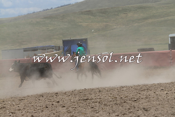 AdaminabyCampdraft2014_0399
