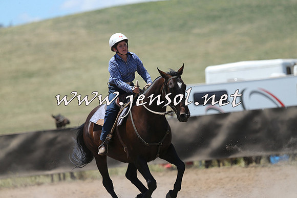AdaminabyCampdraft2014_0151