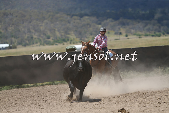 AdaminabyCampdraft2014_0431