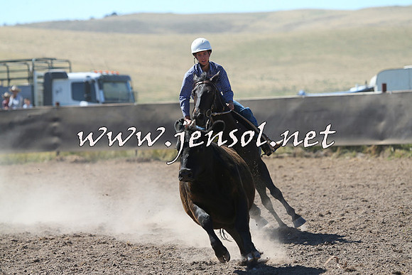 AdaminabyCampdraft2014_0831