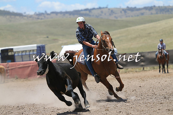 AdaminabyCampdraft2014_0198