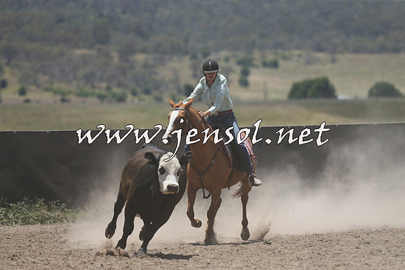 AdaminabyCampdraft2014_0238