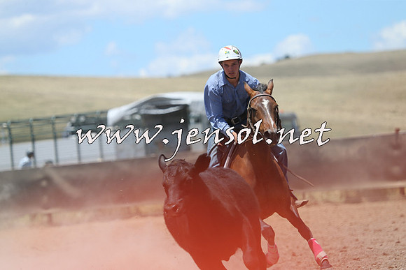 AdaminabyCampdraft2014_0219