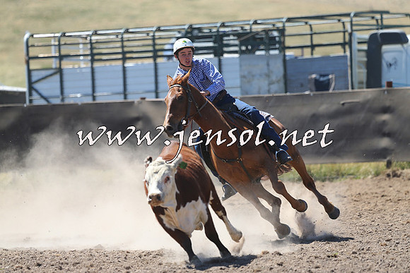 AdaminabyCampdraft2014_0864