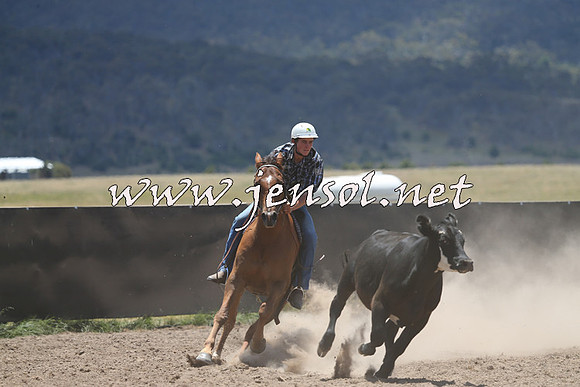 AdaminabyCampdraft2014_0194