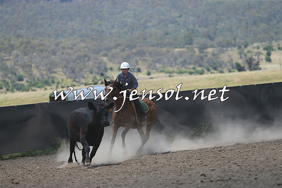 AdaminabyCampdraft2014_0472